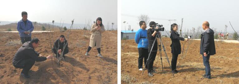 051614934916986431.jpeg QQ截图20210305170000.jpg